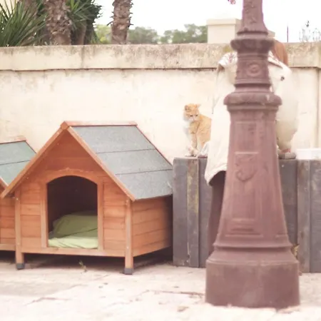 Door Eight * Floriana