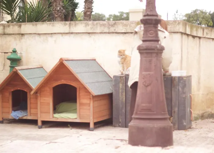 Door Eight * Il-Furjana